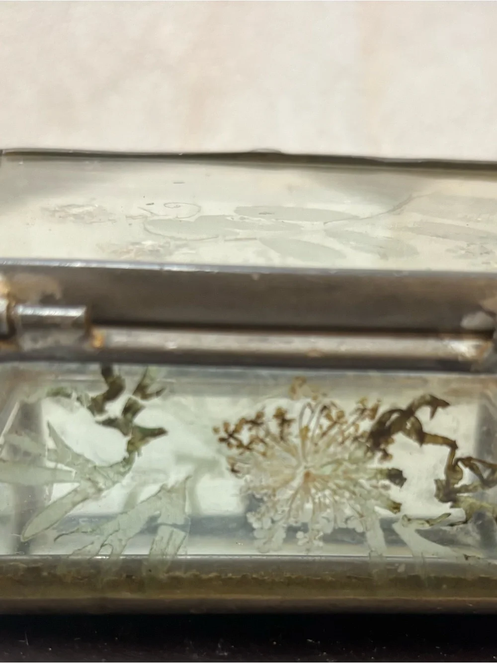 Vintage Leaded Glass Trinket Box with Dried Flowers